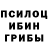 Галлюциногенные грибы Cubensis Sergey Slipchuk