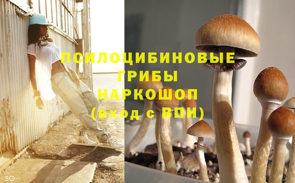 кокаин колумбия Алексин