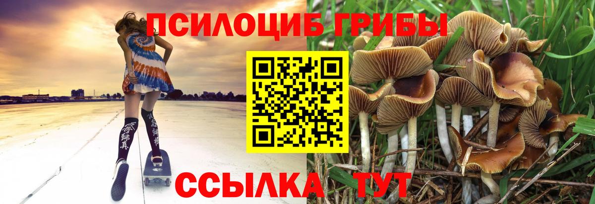 Галлюциногенные грибы Magic Shrooms  Галлюциногенные грибы GOLDEN TEACHER  Вход с VPN  Первоуральск 